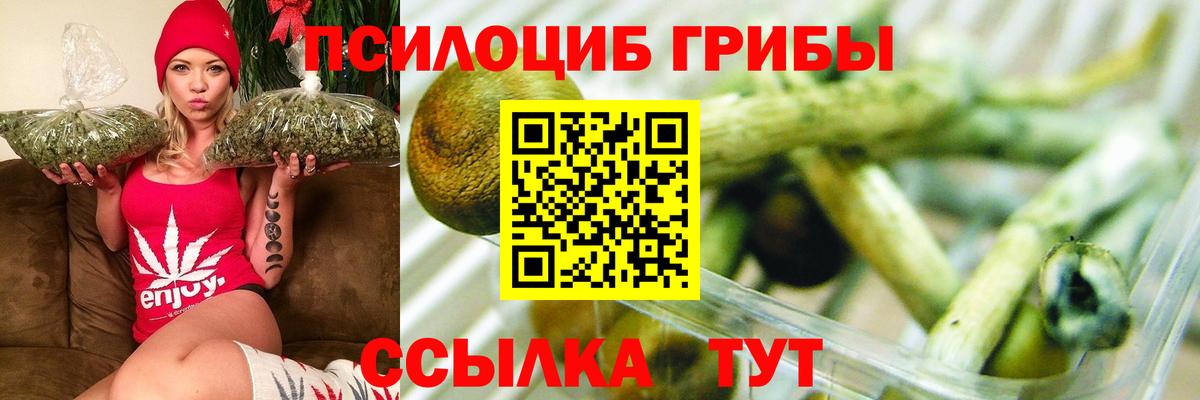Галлюциногенные грибы GOLDEN TEACHER Новоалтайск